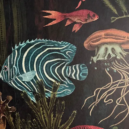 Gaestehof Cafe Im Schafstall