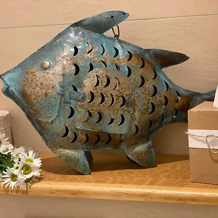 بيت ضيافة Gaestehof Cafe Im Schafstall 3*