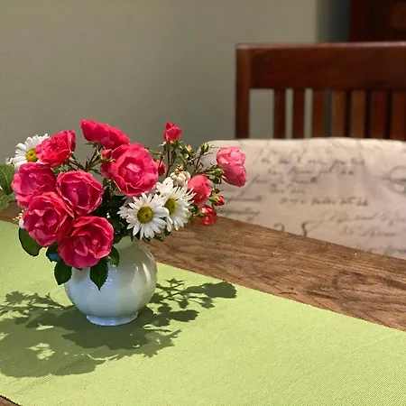 Gaestehof Cafe Im Schafstall بيت ضيافة