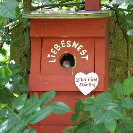 Gaestehof Cafe Im Schafstall Pensjonat Barsinghausen